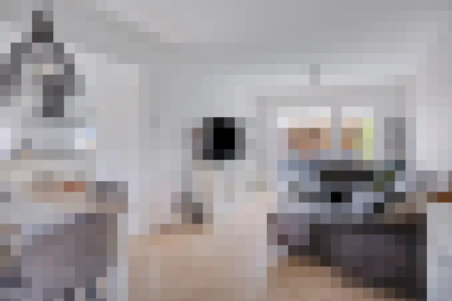 Berkenlaan 16 Bunde thumbnail 5