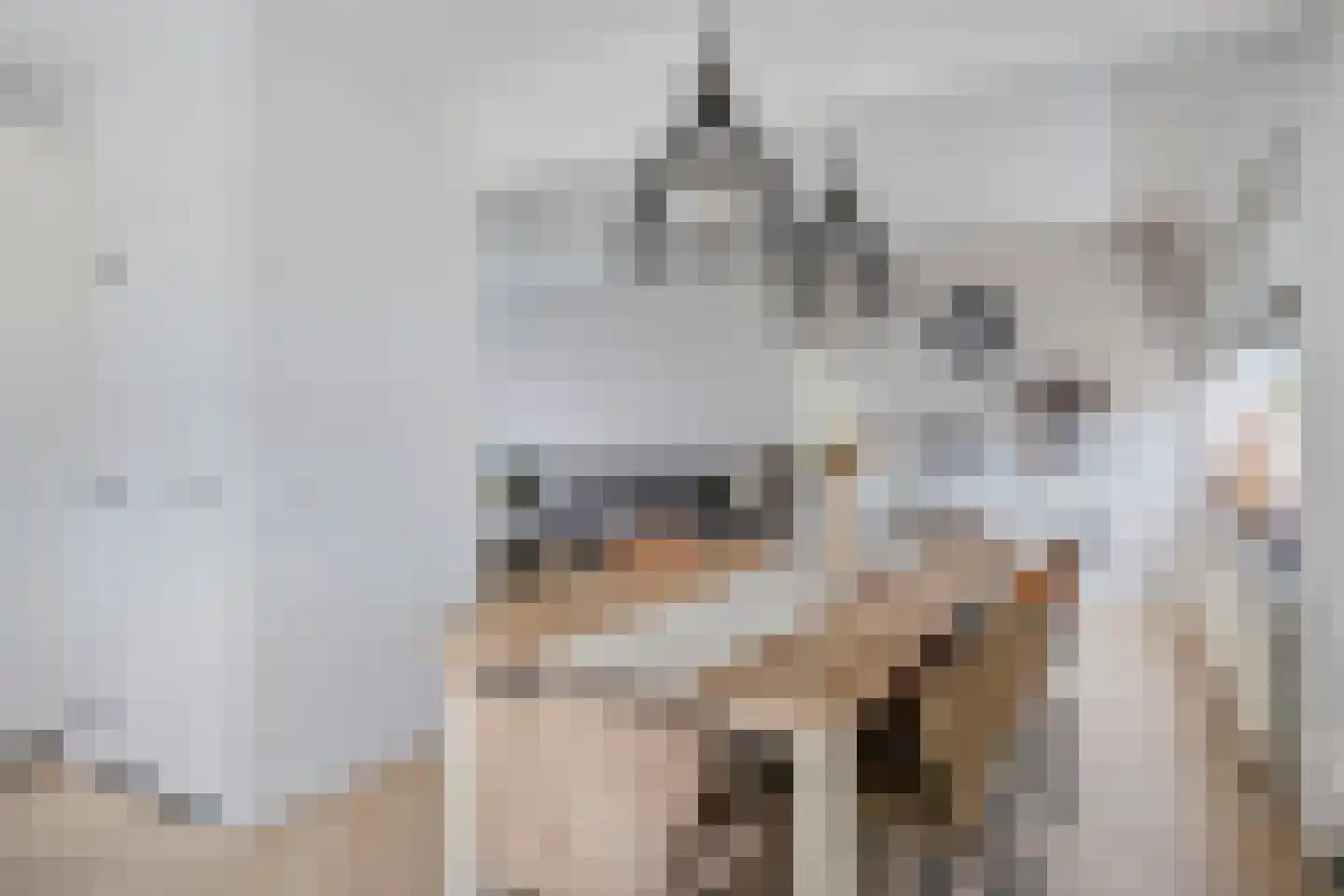 Berkenlaan 16 Bunde thumbnail 7