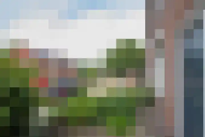 Berkenlaan 16 Neer thumbnail 23