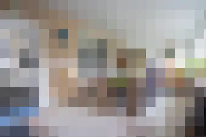 Berkenlaan 16 Neer thumbnail 9