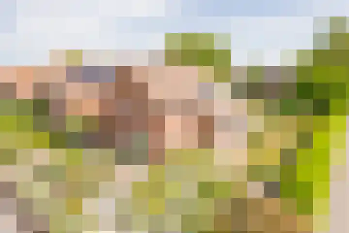 Berkenlaan 16 Nijkerk