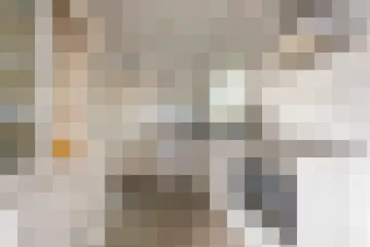 Berkenlaan 16 Nijkerk thumbnail 10