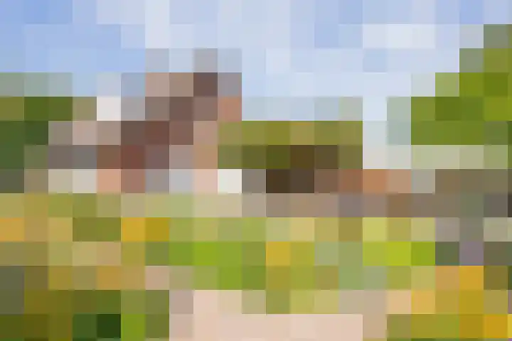Berkenlaan 16 Nijkerk thumbnail 27