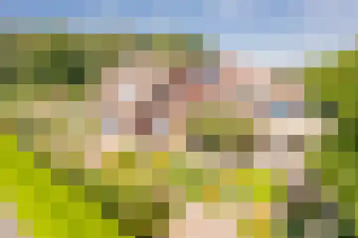Berkenlaan 16 Nijkerk thumbnail 28