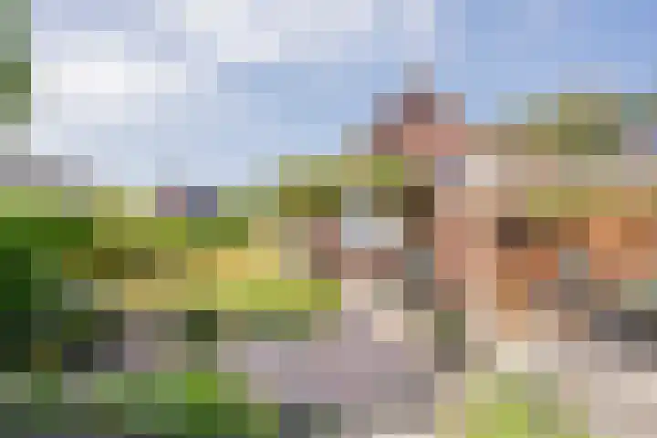 Berkenlaan 16 Nijkerk thumbnail 29