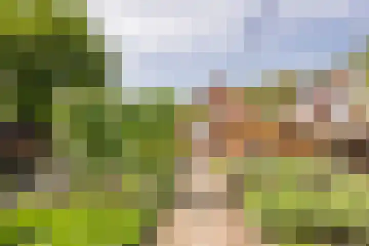 Berkenlaan 16 Nijkerk thumbnail 30