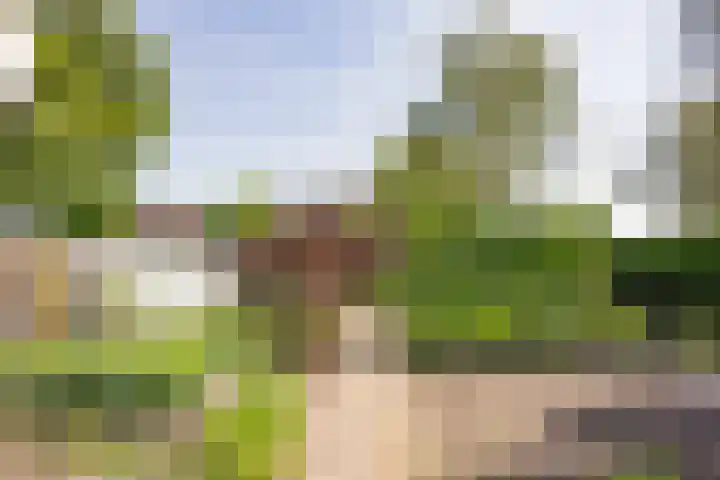 Berkenlaan 16 Nijkerk thumbnail 31