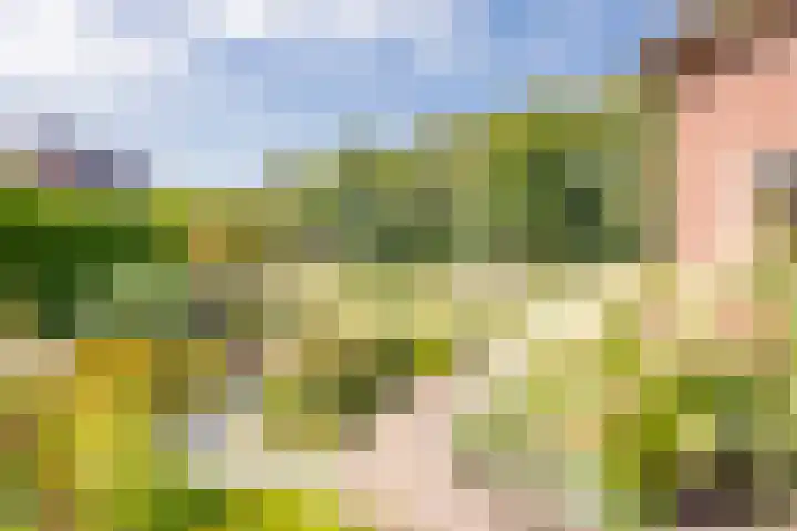 Berkenlaan 16 Nijkerk thumbnail 32