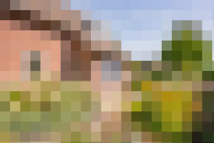 Berkenlaan 16 Nijkerk thumbnail 33