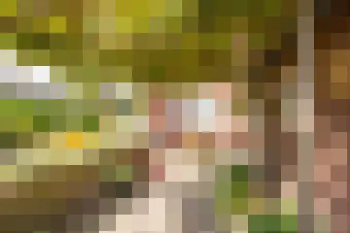 Berkenlaan 16 Nijkerk thumbnail 34