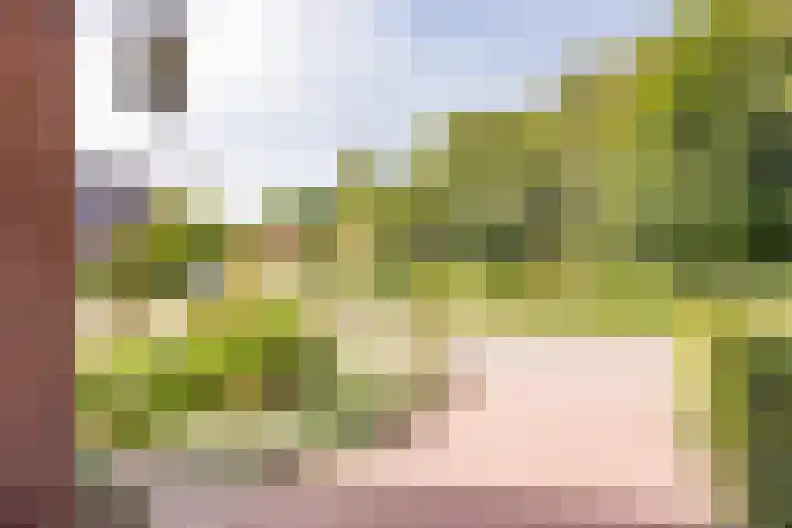 Berkenlaan 16 Nijkerk thumbnail 35