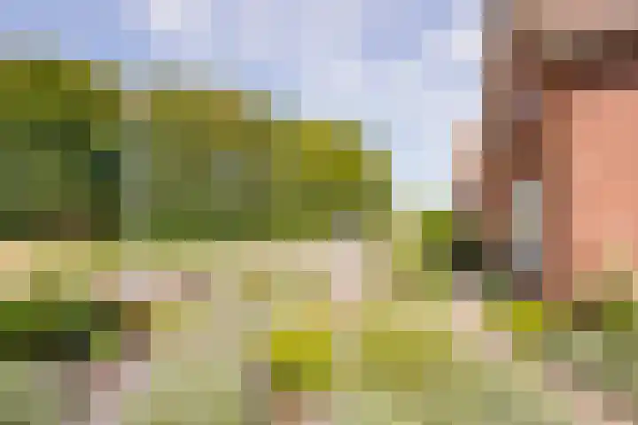 Berkenlaan 16 Nijkerk thumbnail 36