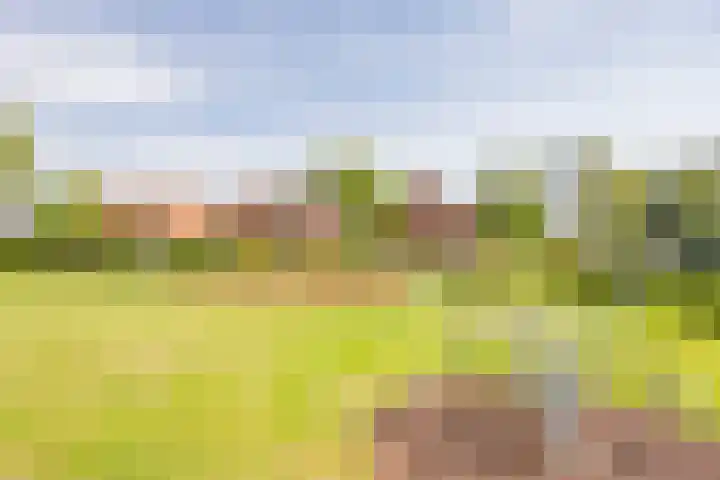 Berkenlaan 16 Nijkerk thumbnail 38