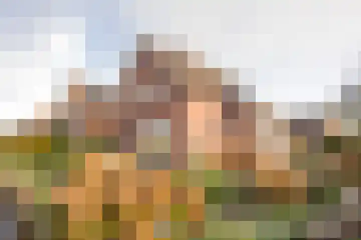 Berkenlaan 16 Nijkerk thumbnail 39