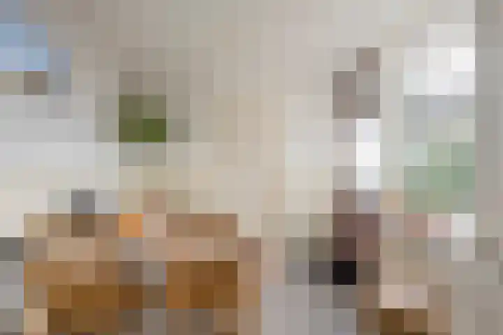 Berkenlaan 16 Nijkerk thumbnail 9