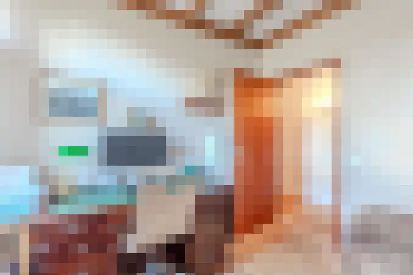 Berkenlaan 16 Putte thumbnail 27