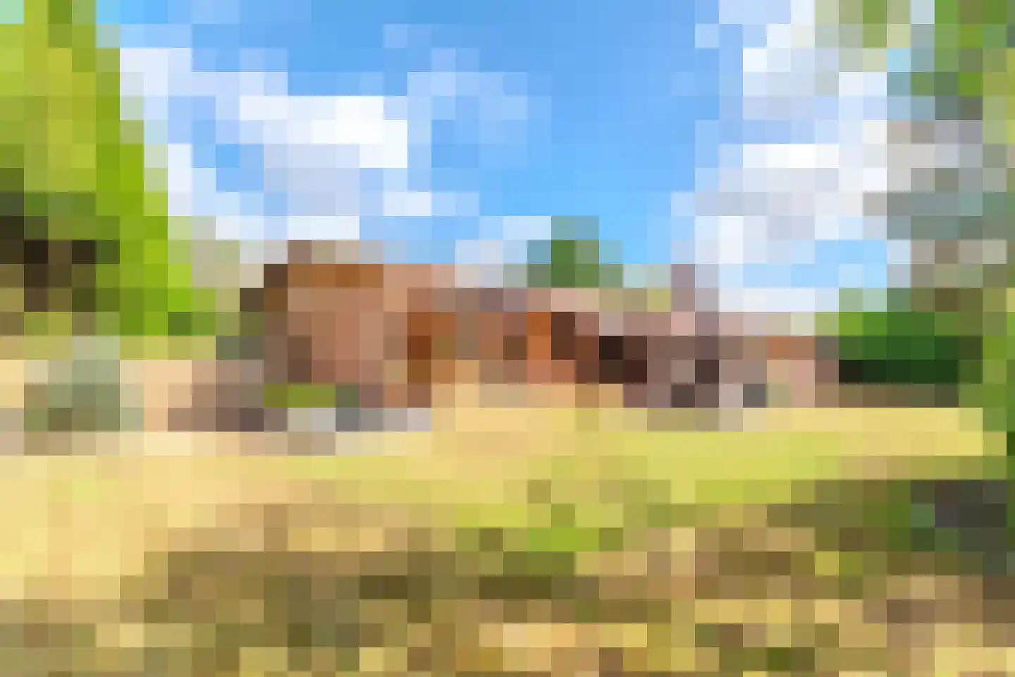 Berkenlaan 16 Putte foto 3