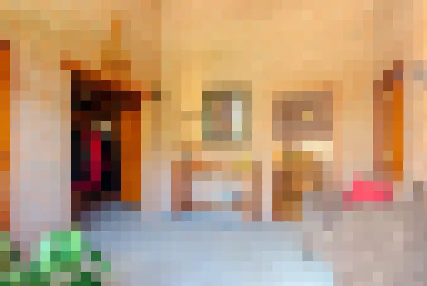 Berkenlaan 16 Putte thumbnail 31