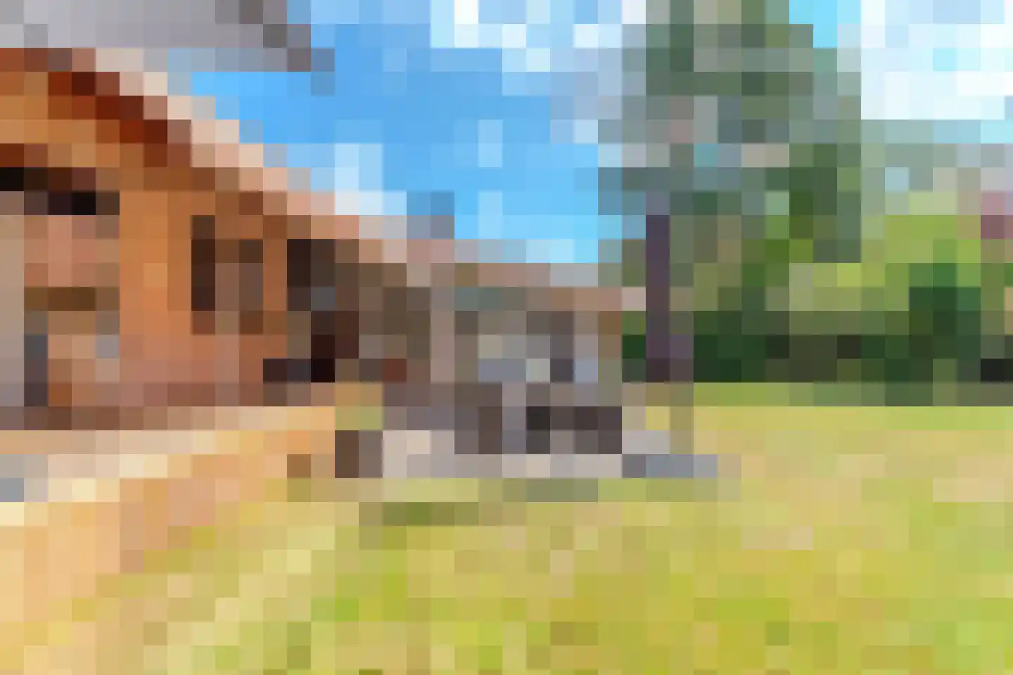 Berkenlaan 16 Putte thumbnail 46
