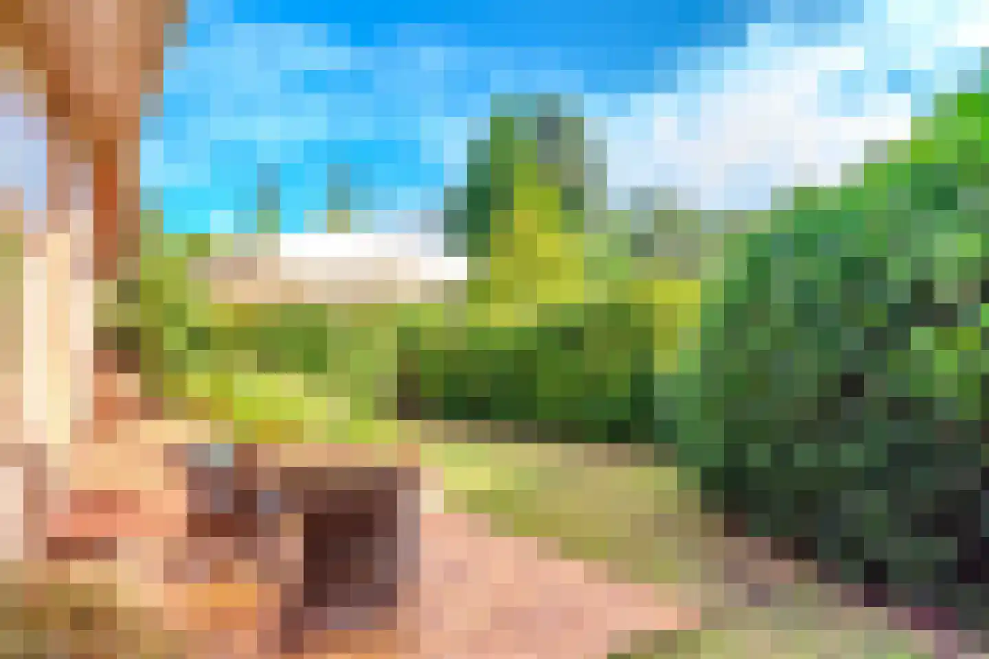 Berkenlaan 16 Putte thumbnail 51