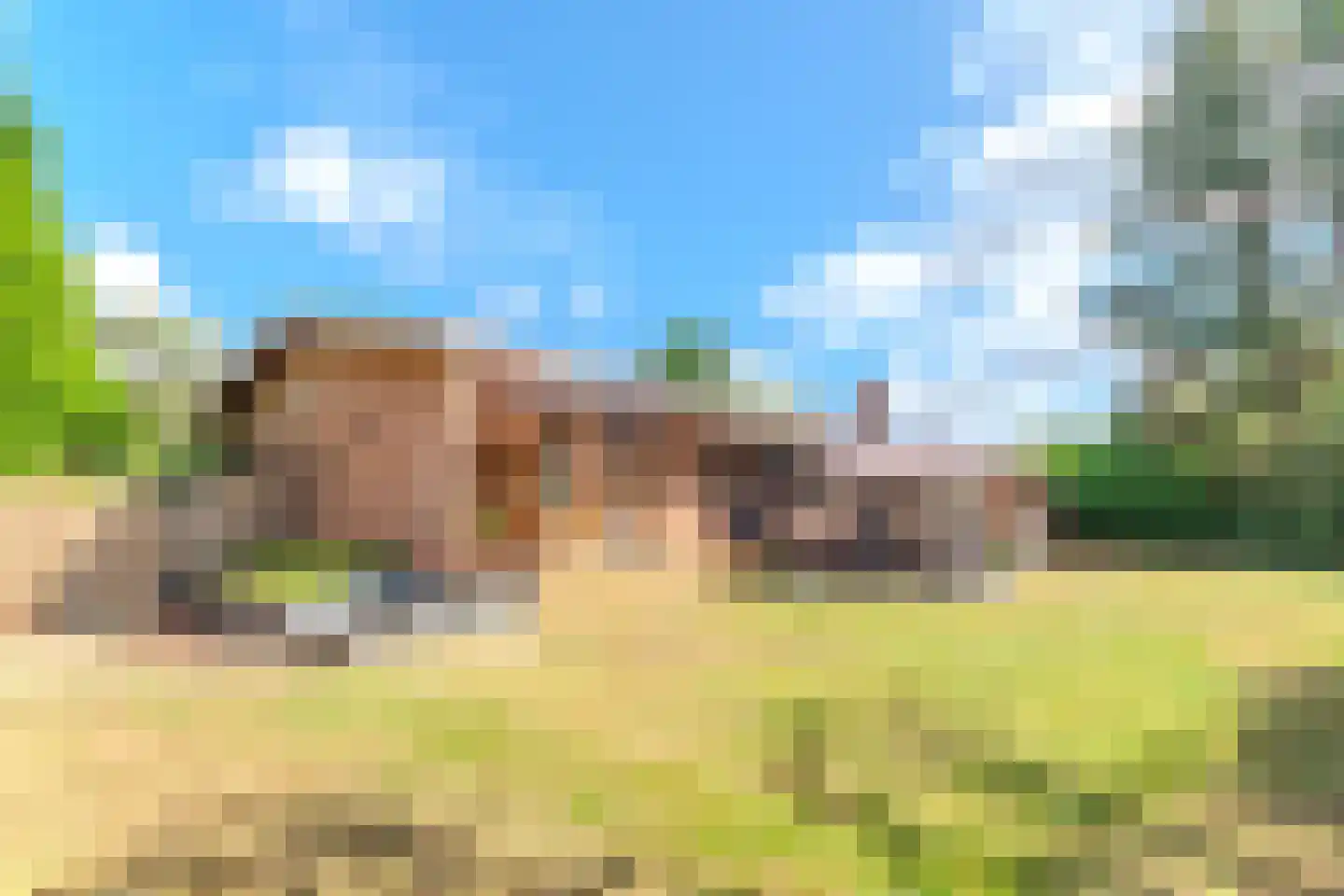 Berkenlaan 16 Putte thumbnail 53