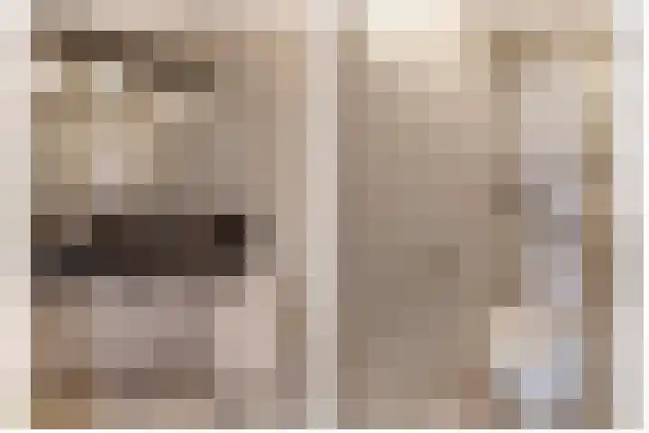 Berkenlaan 16 Velden thumbnail 15