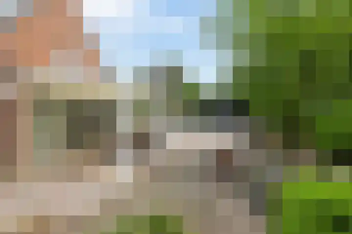 Berkenlaan 16 Velden thumbnail 23