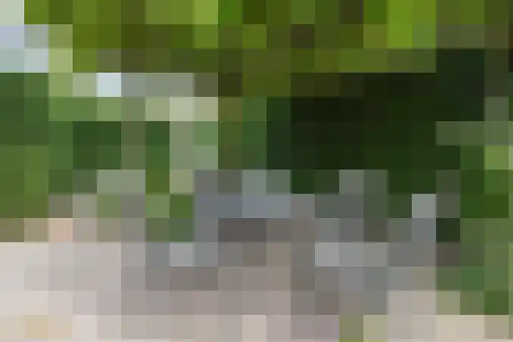 Berkenlaan 16 Velden thumbnail 28