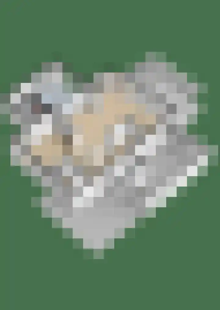 Berkenlaan 16 Velden thumbnail 36