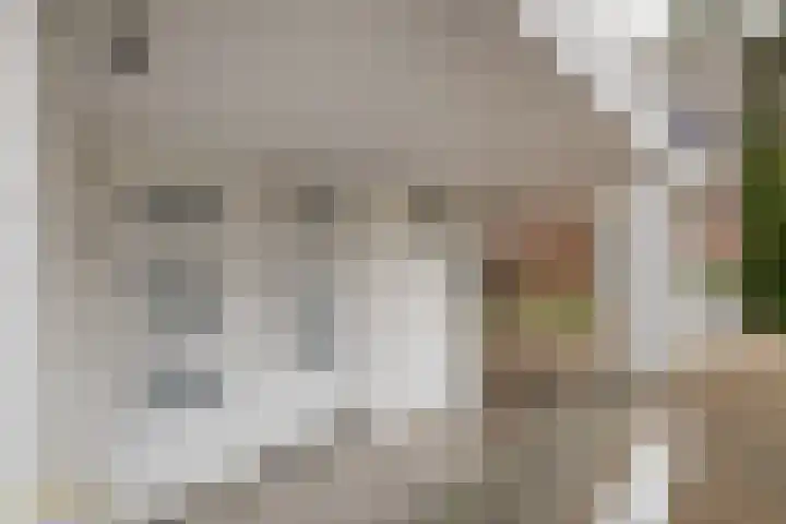 Berkenlaan 16 Velden thumbnail 4