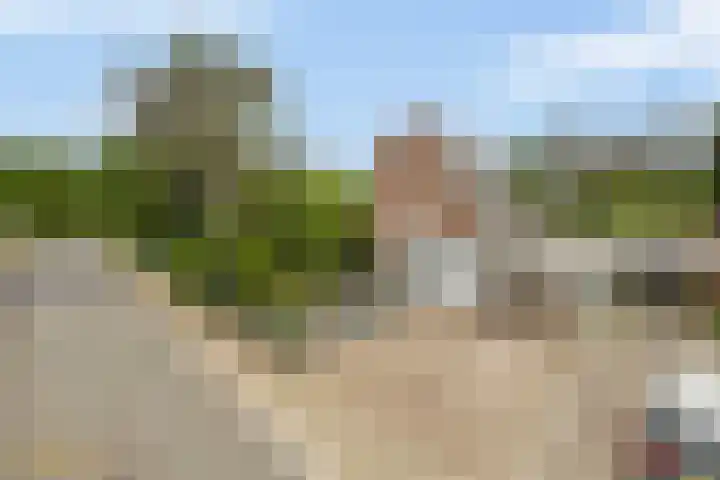 Berkenlaan 16 Velden thumbnail 40