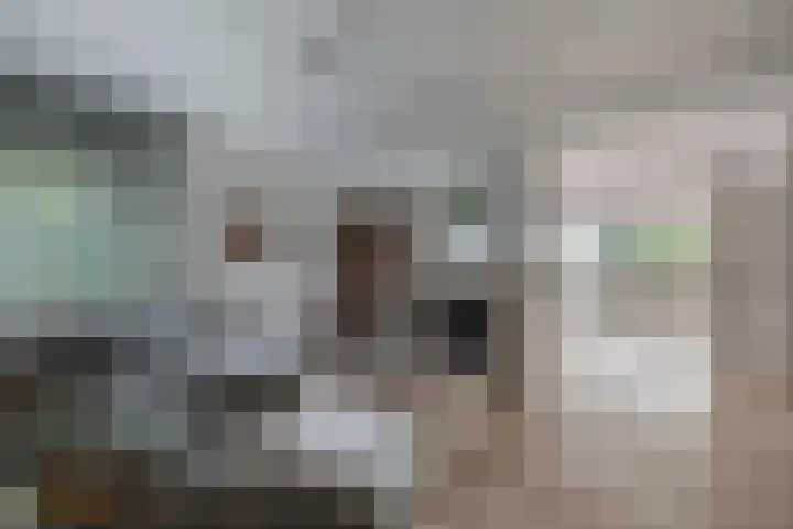 Berkenlaan 16 Velden thumbnail 6
