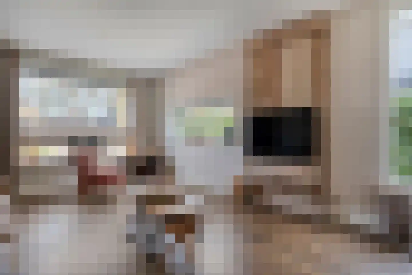 Berkenlaan 17 Hardenberg thumbnail 10