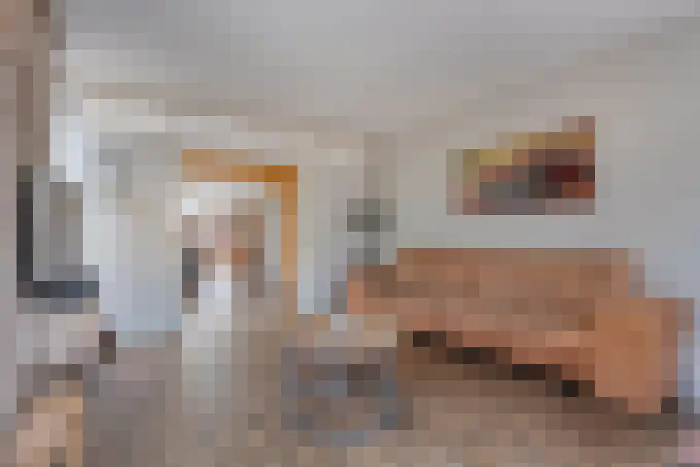 Berkenlaan 17 Hardenberg thumbnail 11