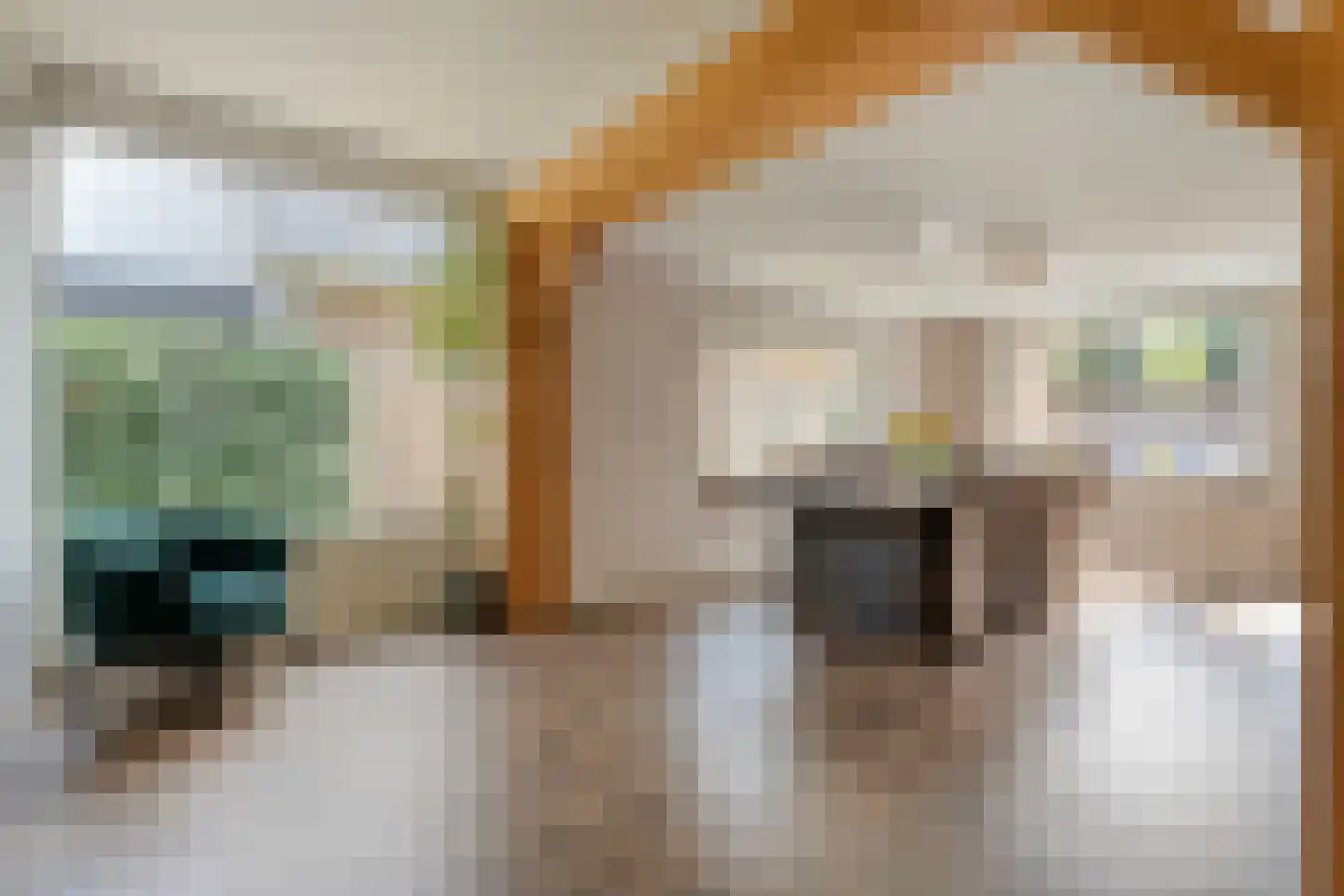 Berkenlaan 17 Hardenberg thumbnail 12