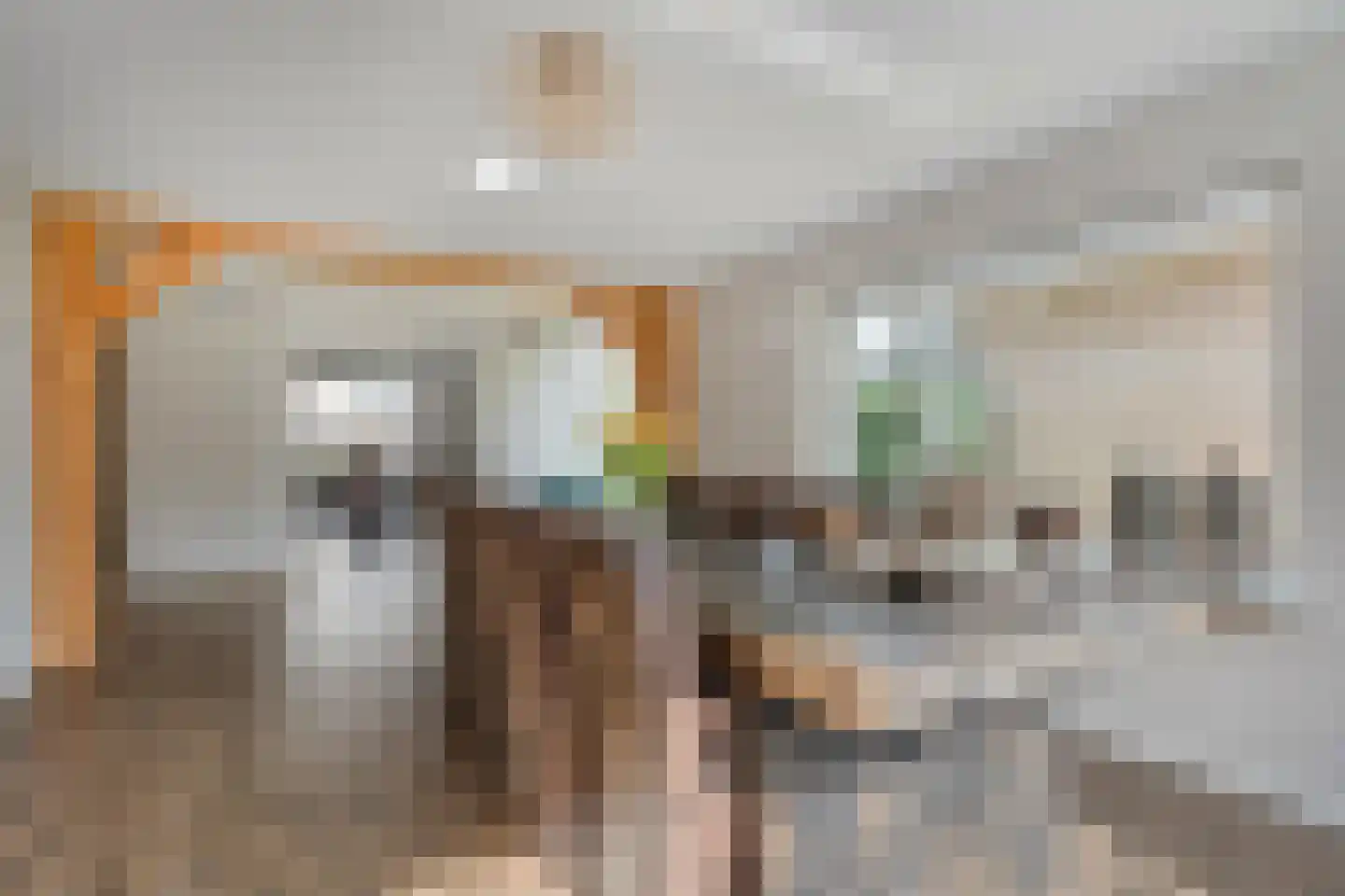 Berkenlaan 17 Hardenberg thumbnail 14