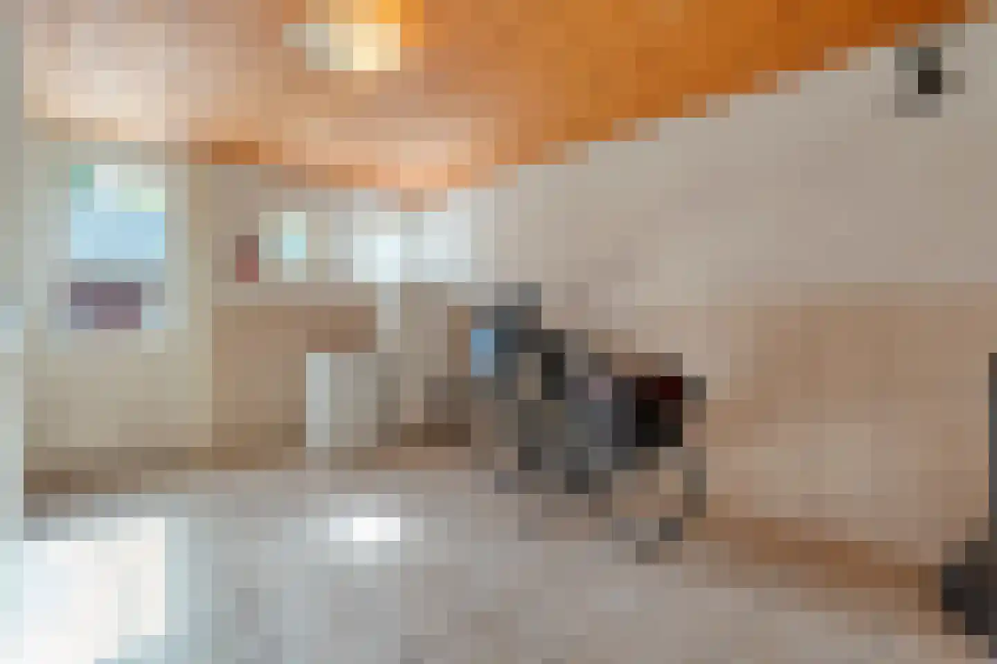 Berkenlaan 17 Hardenberg thumbnail 22