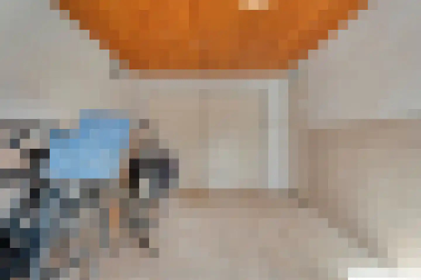 Berkenlaan 17 Hardenberg thumbnail 23