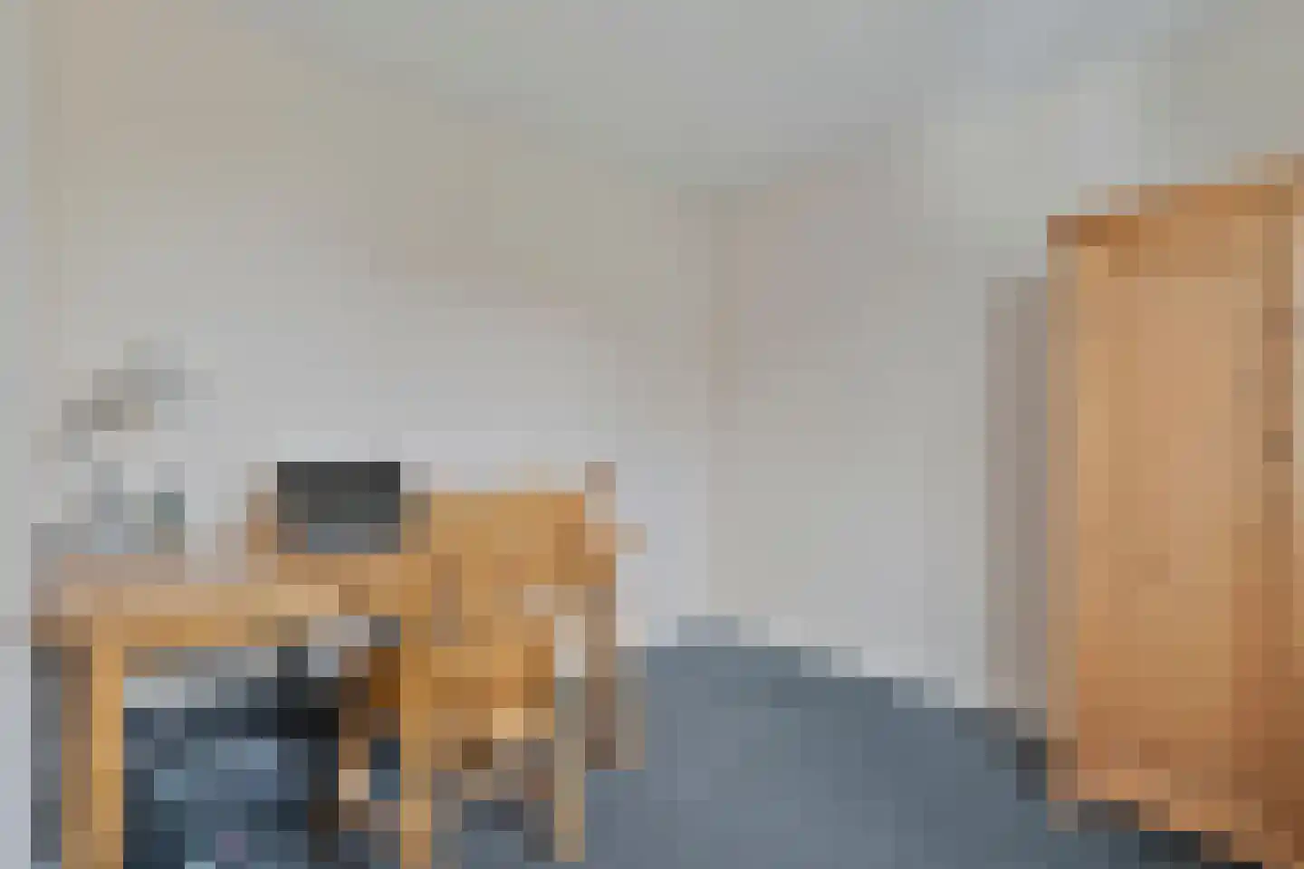 Berkenlaan 17 Hardenberg thumbnail 34