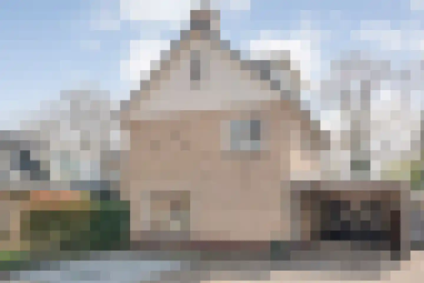 Berkenlaan 17 Hardenberg thumbnail 4