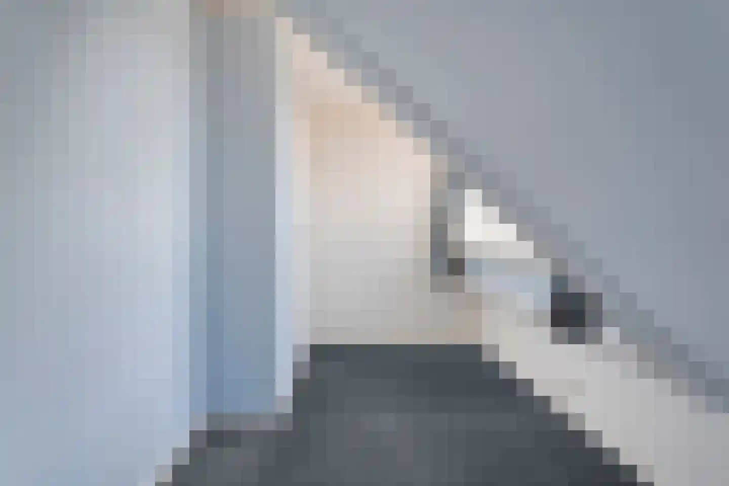 Berkenlaan 17 Hardenberg thumbnail 43