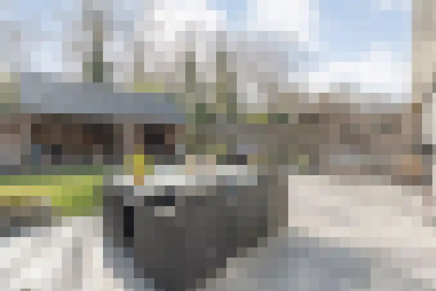 Berkenlaan 17 Hardenberg thumbnail 48