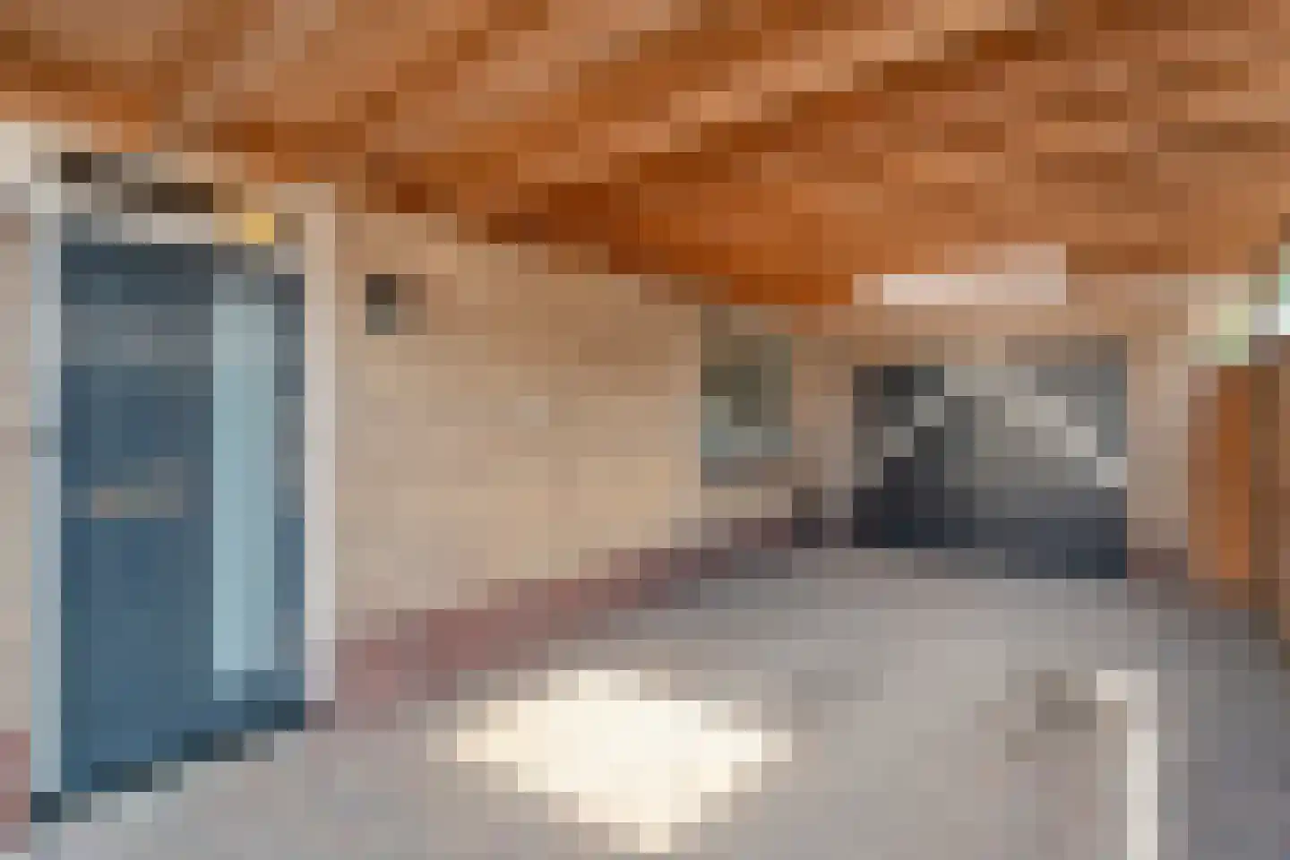 Berkenlaan 17 Hardenberg thumbnail 5