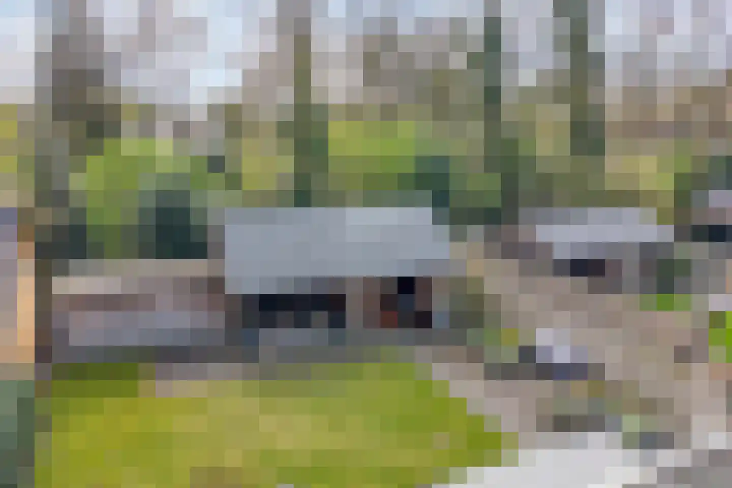 Berkenlaan 17 Hardenberg thumbnail 51