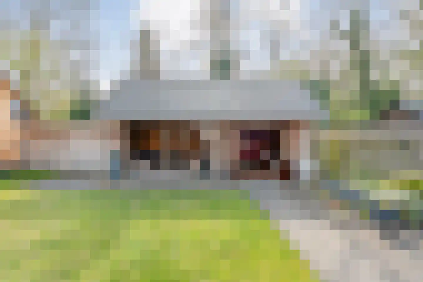 Berkenlaan 17 Hardenberg thumbnail 52