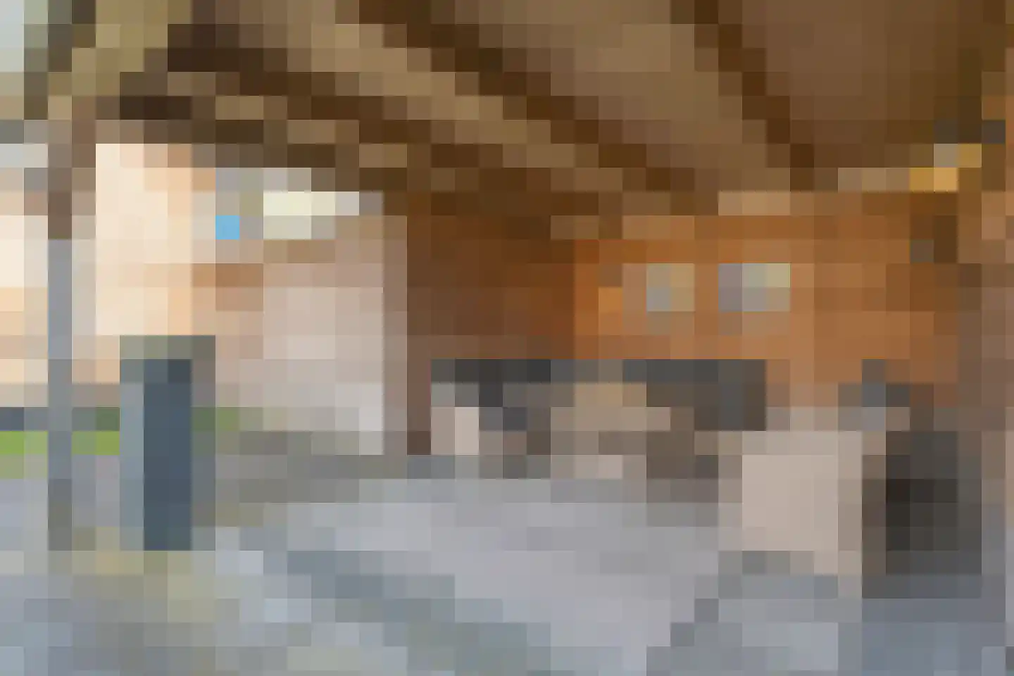 Berkenlaan 17 Hardenberg thumbnail 54
