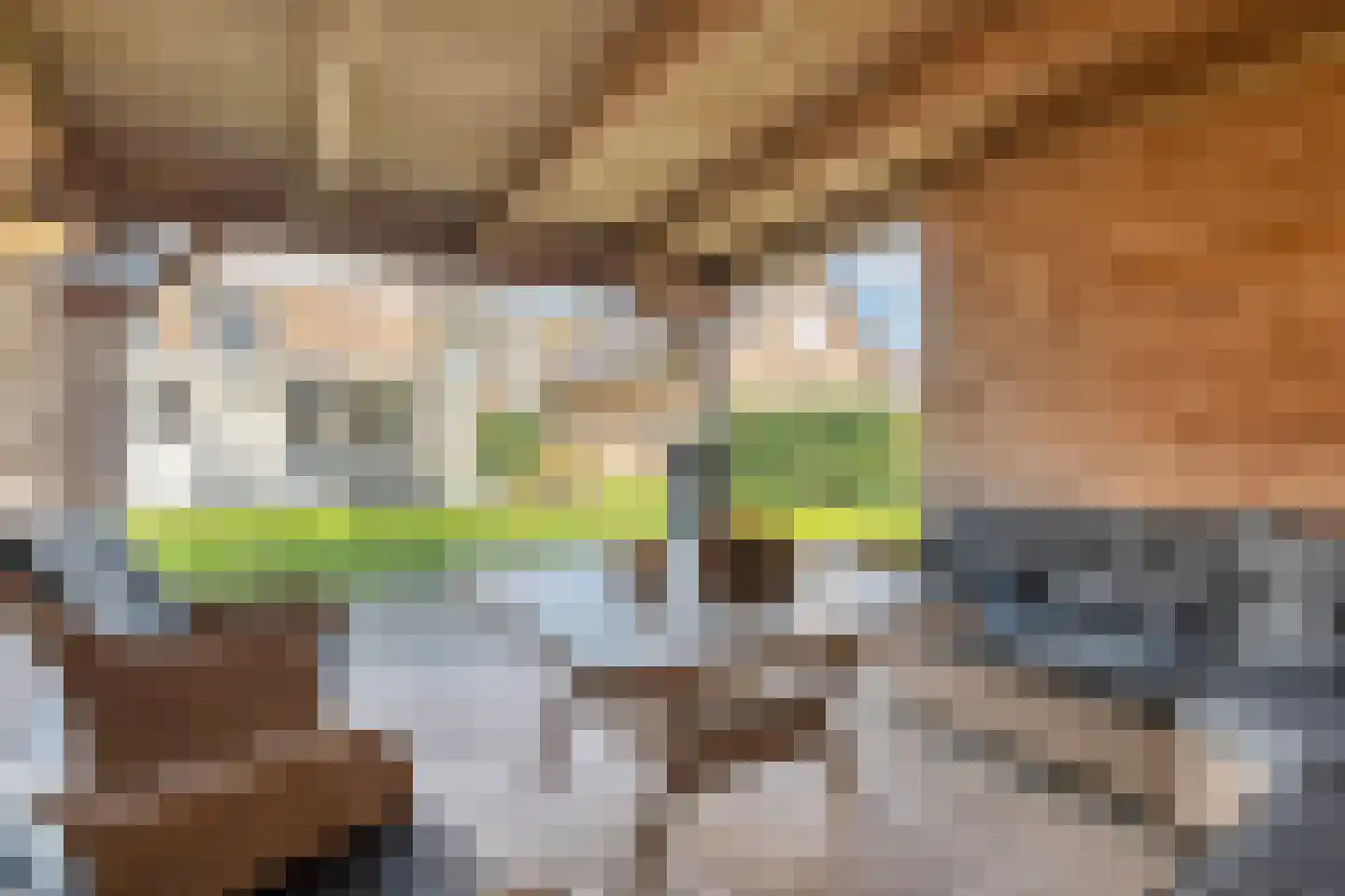 Berkenlaan 17 Hardenberg thumbnail 55