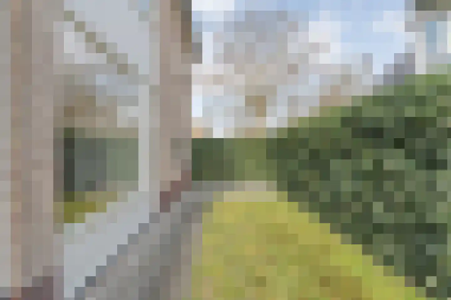 Berkenlaan 17 Hardenberg thumbnail 59