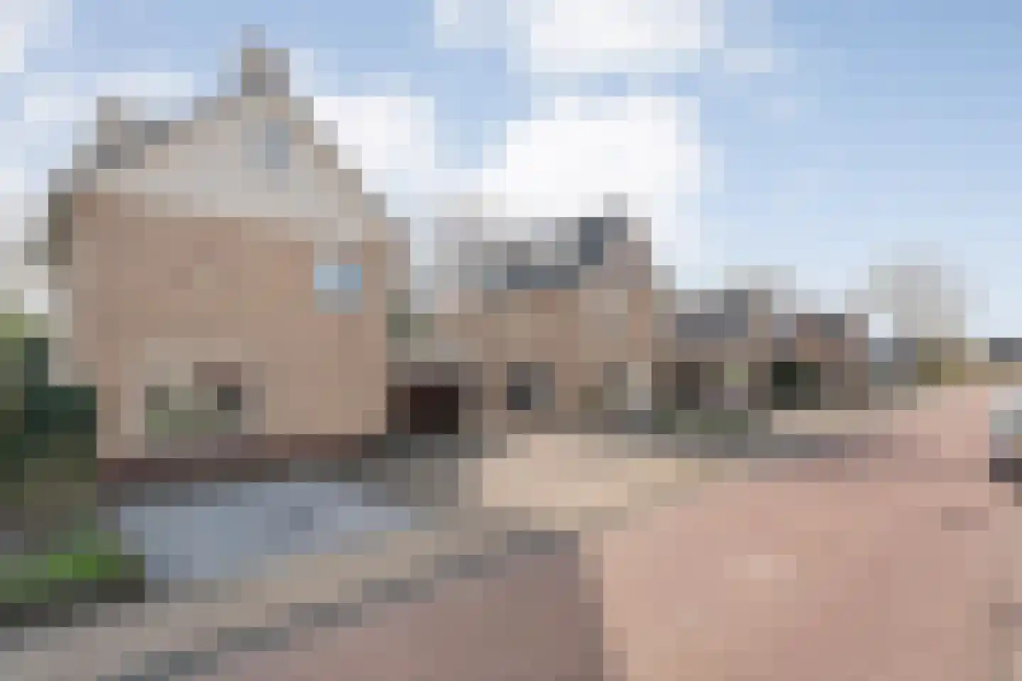Berkenlaan 17 Hardenberg thumbnail 62