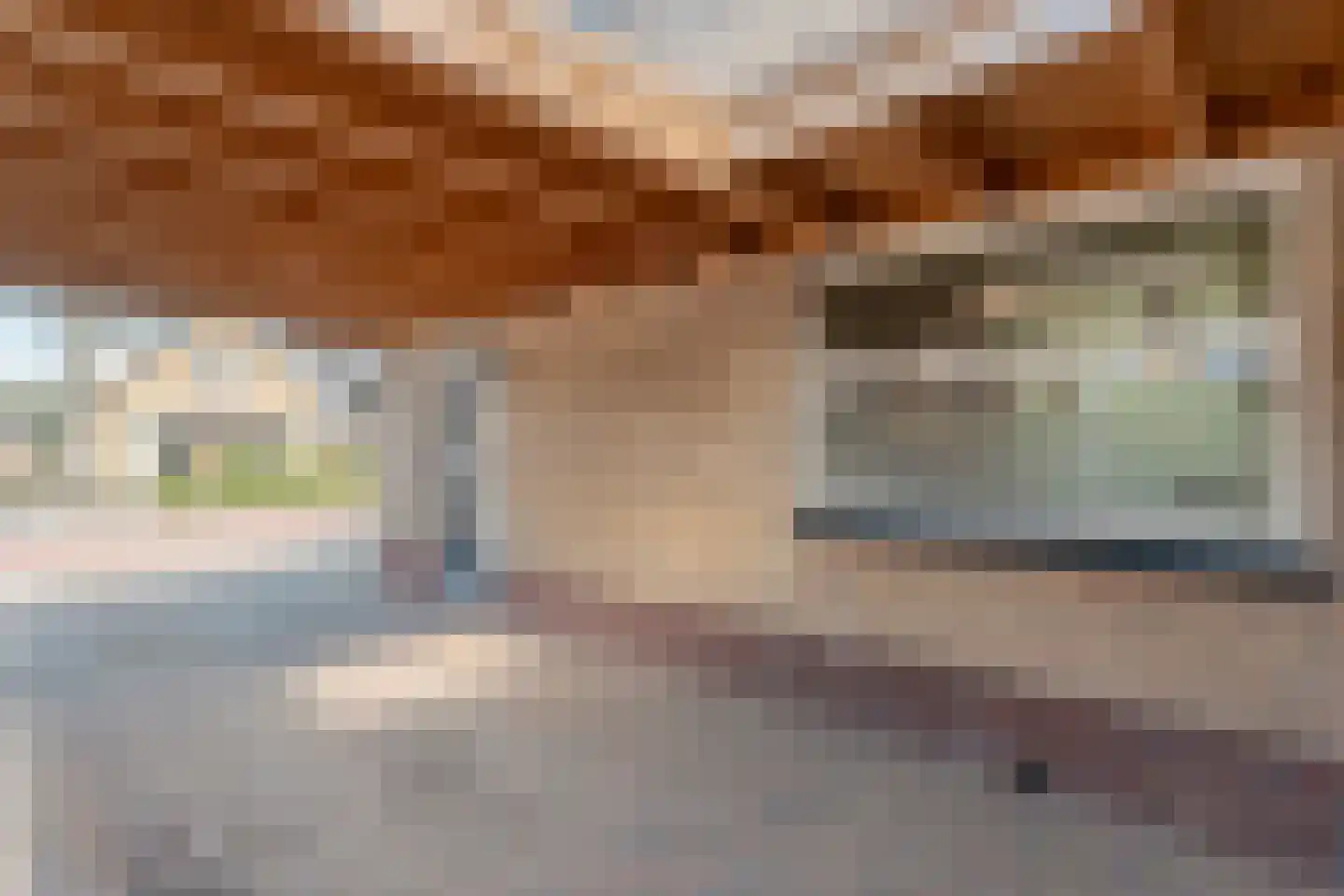 Berkenlaan 17 Hardenberg thumbnail 64